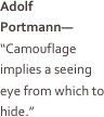 • How Form Functions