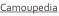 shapeimage_28_link_1
