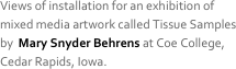 Views of installation for an exhibition of mixed media artwork called Tissue Samples by  Mary Snyder Behrens at Coe College, Cedar Rapids, Iowa.
