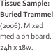 Tissue Sample: Buried Trammel (2006). Mixed media on board. 24h x 18w.
