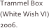 Trammel Box (White Wish VI) 2006.