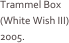 Trammel Box (White Wish III) 2005.