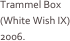 Trammel Box (White Wish IX) 2006.